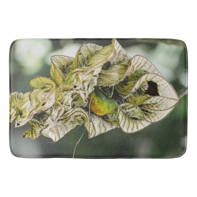 Green Bird, Euphonia Belize Photography Bath Mat (Front)