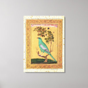 Green Bird, Mughal (gouache on paper) Canvas Print