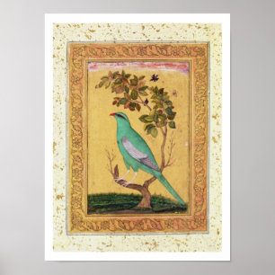 Green Bird, Mughal (gouache on paper) Poster