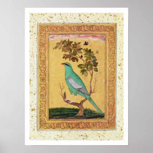 Green Bird Mughal gouache on paper Poster