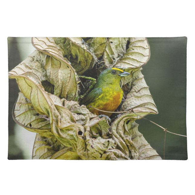 Green Bird, Olive Backed Euphonia Photography Cloth Placemat (Front)