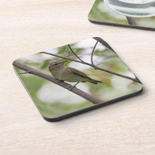 Green Bird, Red-Eyed Vireo, Canadian Photography Beverage Coaster (Left Side)