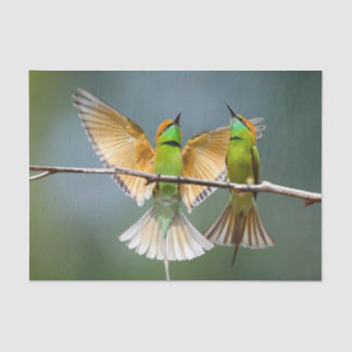 Green Birds Frolic in the Trees Photograph Tissue Paper