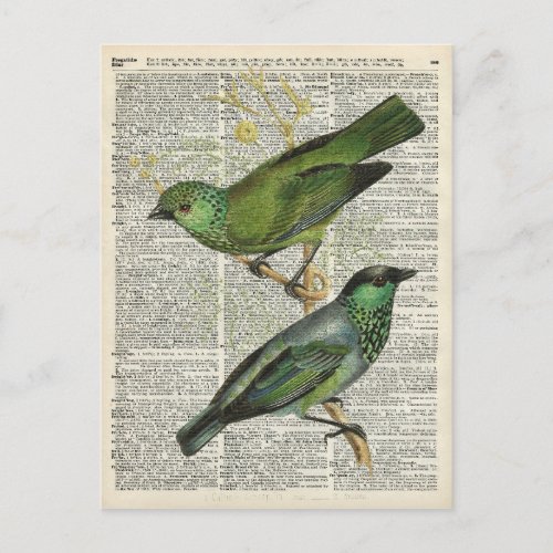 Green  Birds Over Vintage Dictionary Book Page Postcard