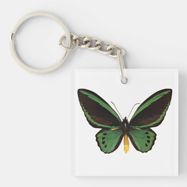 Green Birdwing Butterfly Keychain (Front)
