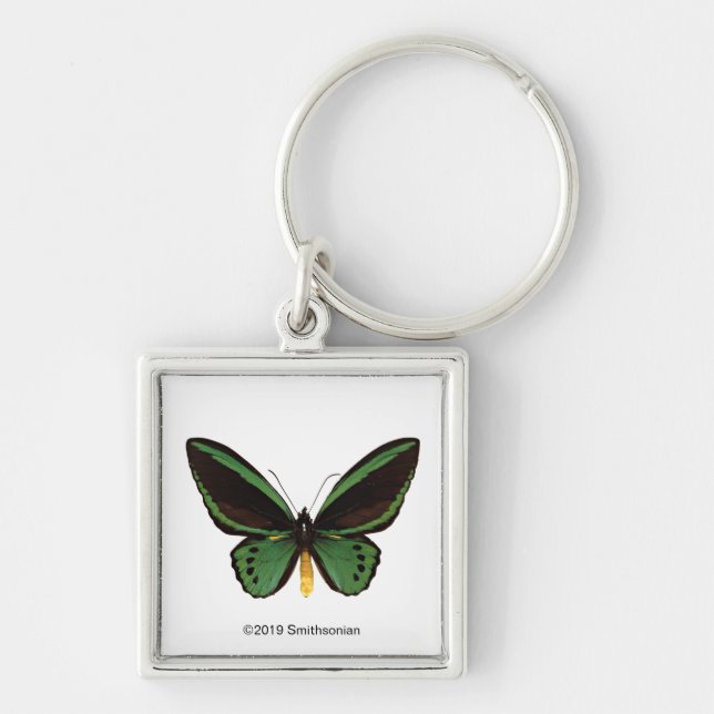 Green Birdwing Butterfly Keychain (Front)