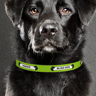 Green &amp; Black Dog Silhouettes Blind Dog Awareness Pet Collar