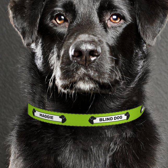 Green & Black Dog Silhouettes Blind Dog Awareness Pet Collar