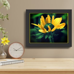 Green Black Eyed Susan Abstract Flower Framed Art
