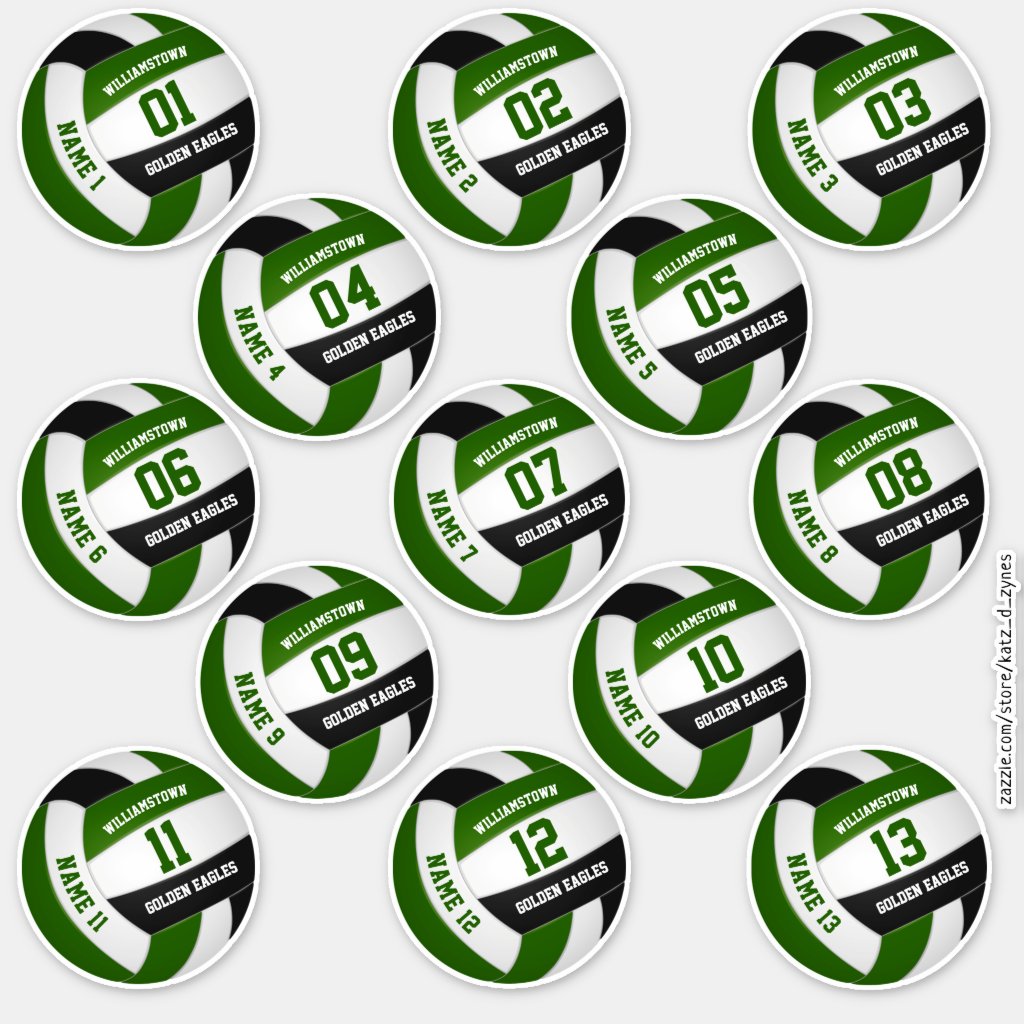 green black volleyball team colors players names stickers