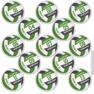 green black volleyball team colors players names sticker