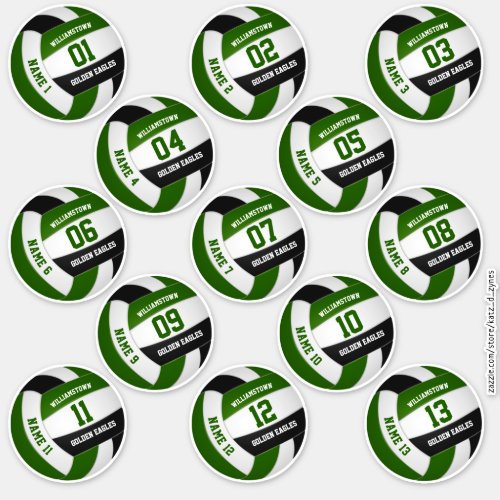 green black volleyball team colors players names sticker