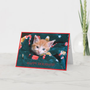Green Blanket Cat Holiday Orange Kitten  Card