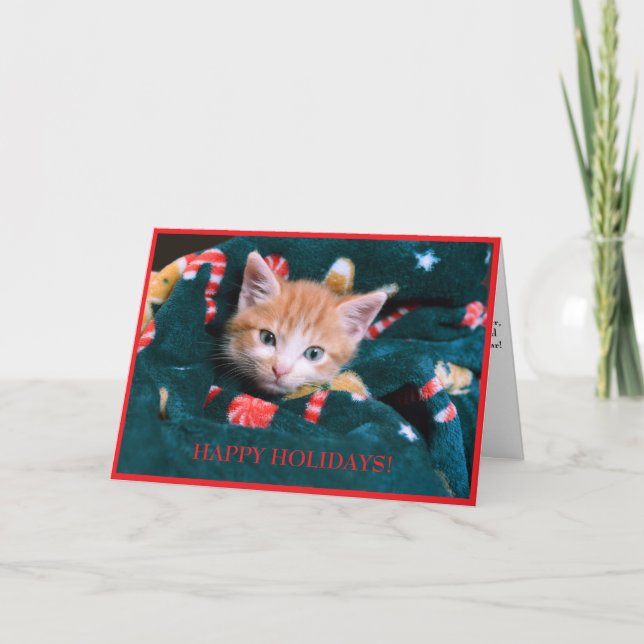 Green Blanket Cat Holiday Orange Kitten  Card (Front)