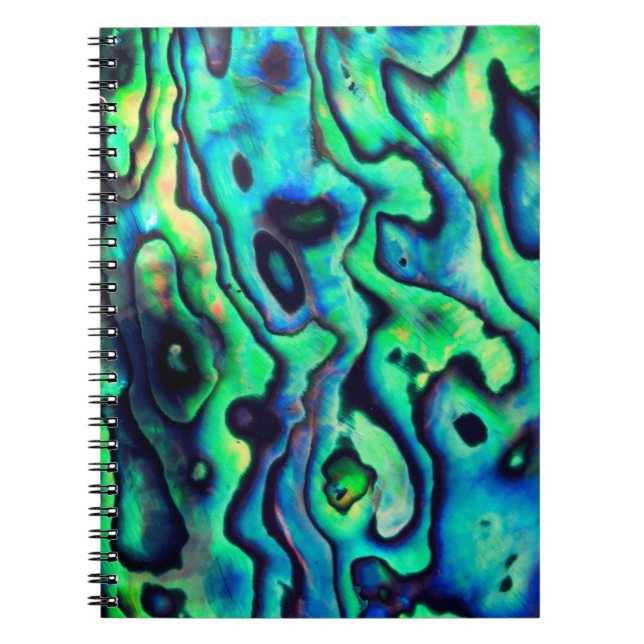 Green blue paua abalone shell notebook (Front)