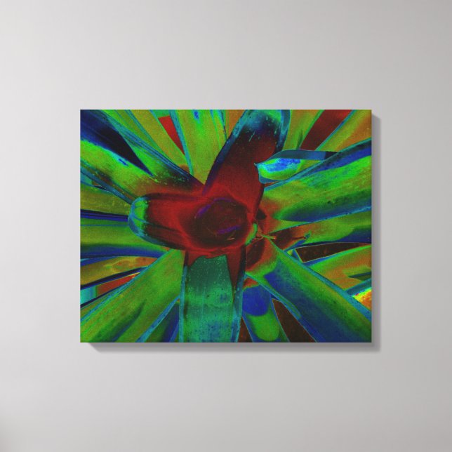 Green Blue Red Bromeliad Plant Image Canvas Print (Front)
