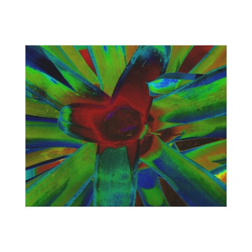 Green Blue Red Bromeliad Plant Image Canvas Print
