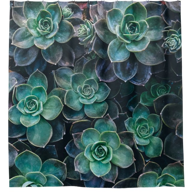 Green Blue Succulent Plants Shower Curtain (Front)