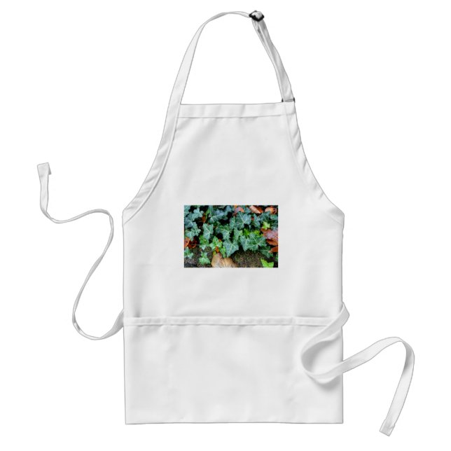 Green botanical Ivy and field stone Adult Apron (Front)