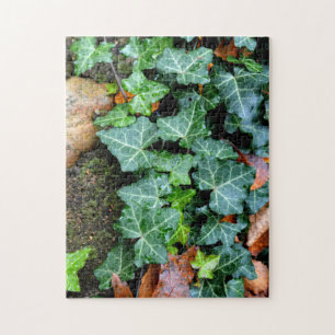 Green botanical Ivy and field stone Jigsaw Puzzle