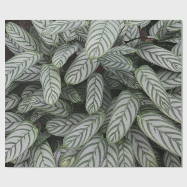 Green Botanical Leaf Pattern Wrapping Paper (Flat)