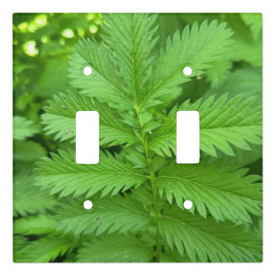 Green Botanical Leaves Light Switch Cover