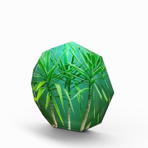 Green Botanical Palm Tree Cushion Acrylic Award