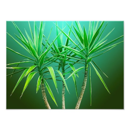 Green Botanical Palm Tree Cushion Photo Print