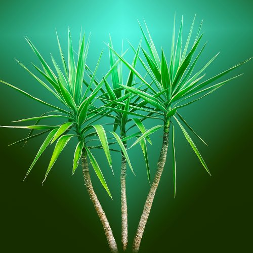 Green Botanical Palm Tree Cushion Trivet