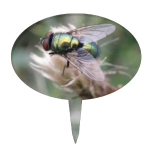 Green Bottle Fly Macro Cake Pick