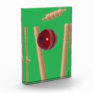 Green Bowled At Cricket, Photo Block