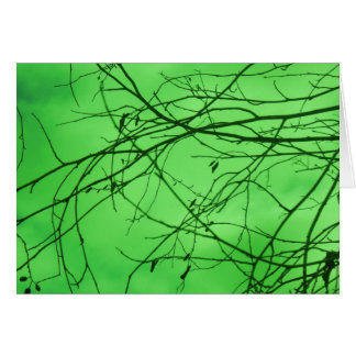 Green Branches Cards