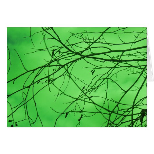 Green Branches Cards (Front Horizontal)
