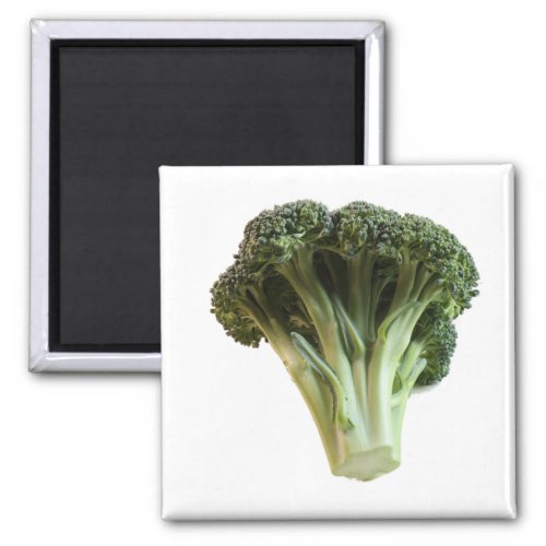 Green Broccoli Fresh Vegetable Floweret Magnet