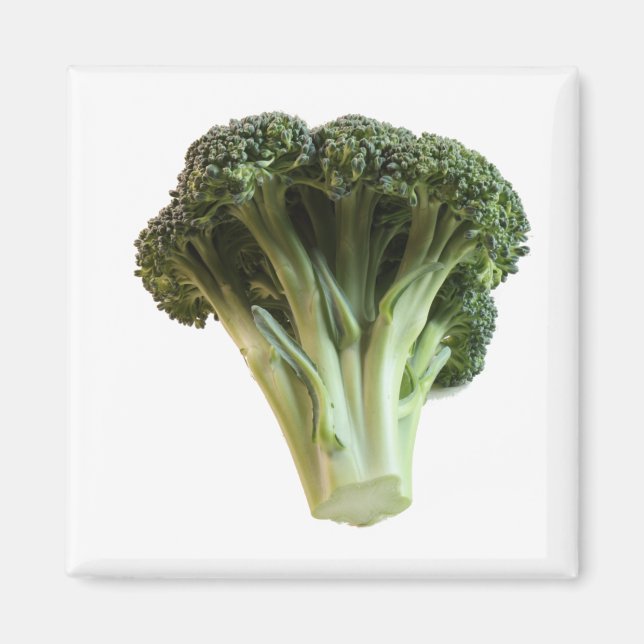 Green Broccoli Fresh Vegetable Floweret Magnet (Front)