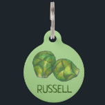 Green Brussels Sprouts Vegetarian Vegetable Foodie Pet Tag<br><div class="desc">Pet tag design features an original illustration of a pair of green brussels sprouts. Just personalize with the name of your dog or cat. Lots of coordinating pet products are also available from this shop! Don't see exactly what you're looking for? Contact Rebecca to have a product customized just for...</div>