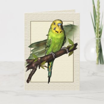 Green Budgie Art Greetings Card by Specialeetees at Zazzle