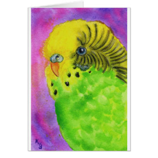 Green Budgie Cards