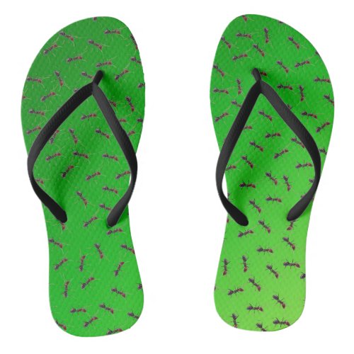 Green Bull Ants Swarming Flip Flops