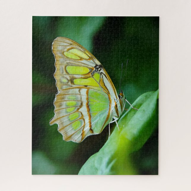 Green Butterfly Jigsaw Puzzle (Vertical)