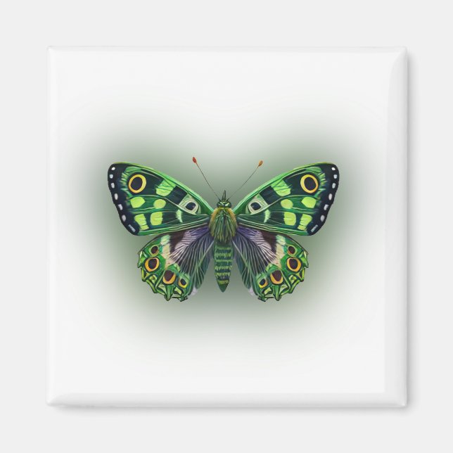 Green Butterfly Magnet (Front)