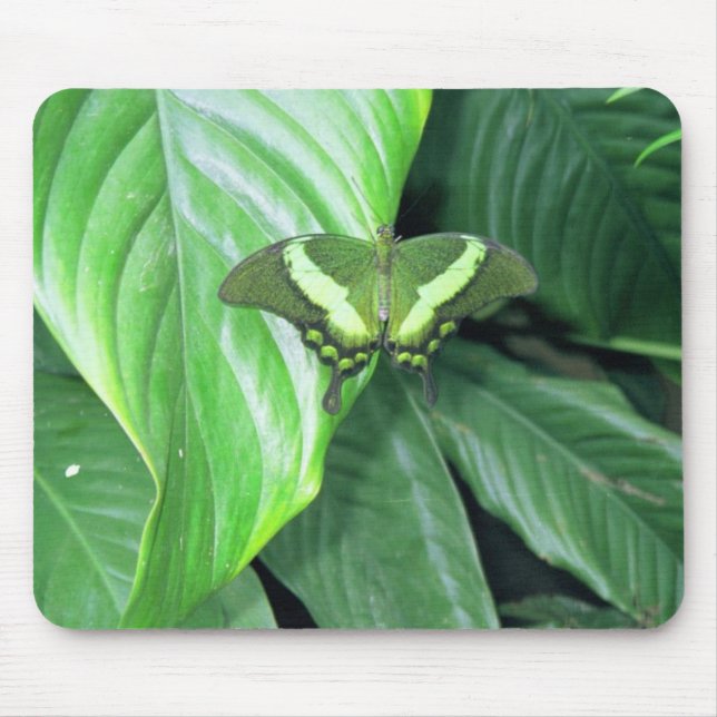 Green Butterfly Mouse Pad (Front)