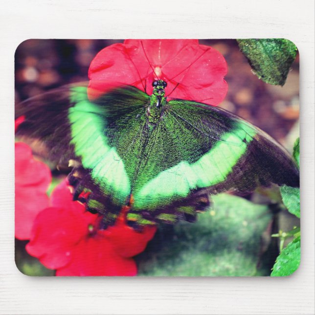 Green Butterfly Nature  Mouse Pad (Front)