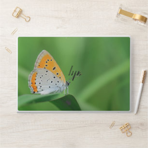 Green butterfly picture HP Laptop Skin