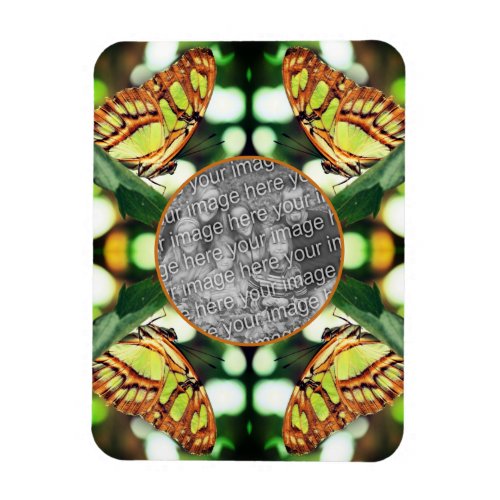 Green Butterfly Posing Frame Create Your Own Photo Magnet