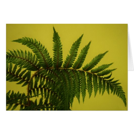 "green" by Larry Coressel (Front Horizontal)