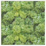 Green cabbage fabric
