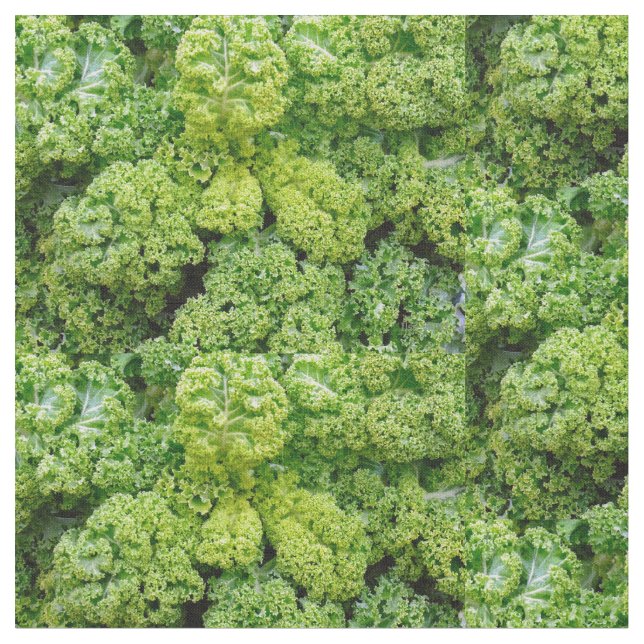 Green cabbage fabric (Close Up)