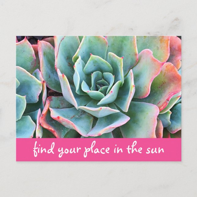 Green Cacti Photography Find Your Place In Sun Postcard (Front)