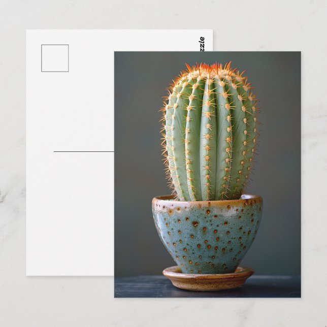 Green Cactus in a Teal Ceramic Pot Photography Postcard (Front/Back)